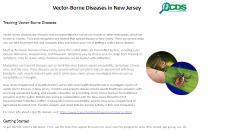 Vector-borne Disease Data Dashboard
